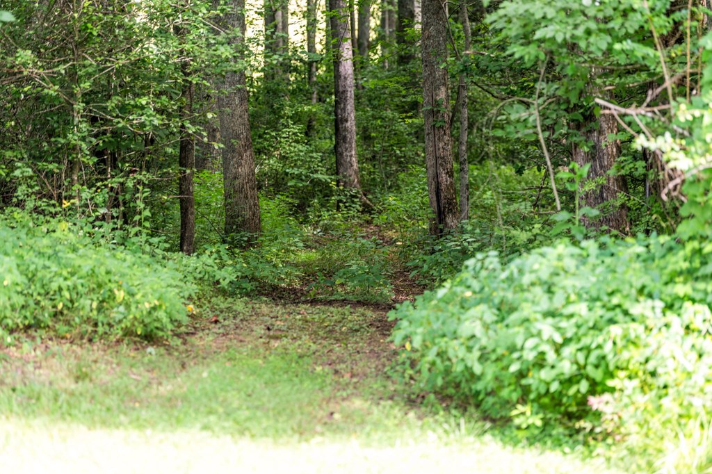 8560 Beaver Dam Road Murphy, NC 28906 - Photo 39 of 50 Gallery Image 39