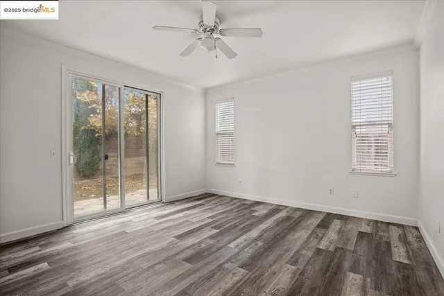 a view of a yard with plants and trees