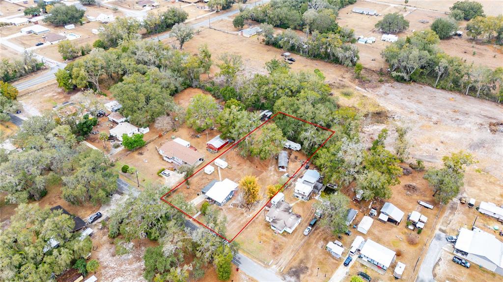 110 County Road 534 Bushnell, FL 33513 - Photo 31 of 60 a view of plant with lots of trees