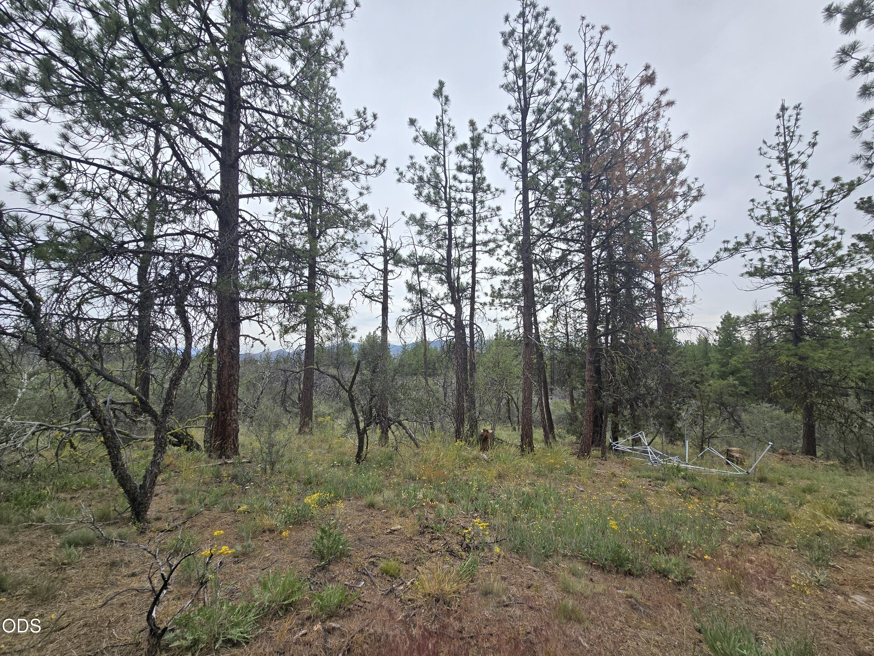 0 Partin Drive, Unit 5 Beatty, OR 97621 - Photo 12 of 15