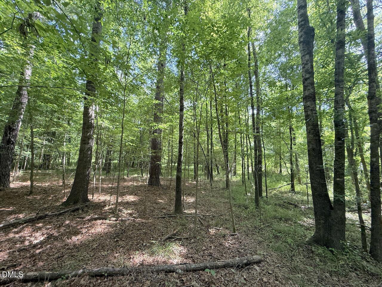 0 Tar River Road Oxford, NC 27565 - Photo 6 of 34 6