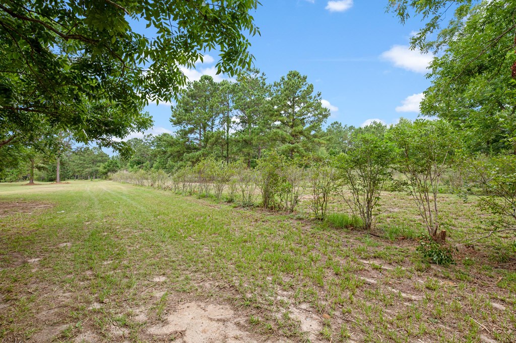 15 Apostolic Church Road Dothan, AL 36301 - Photo 34 of 63