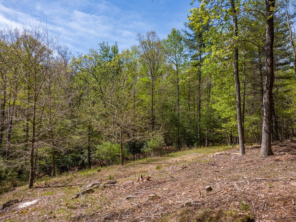 Lot 11 Ridge Line Trail, Unit 11 Independence, VA 24348 - Photo 30 of 40 Gallery Image 30