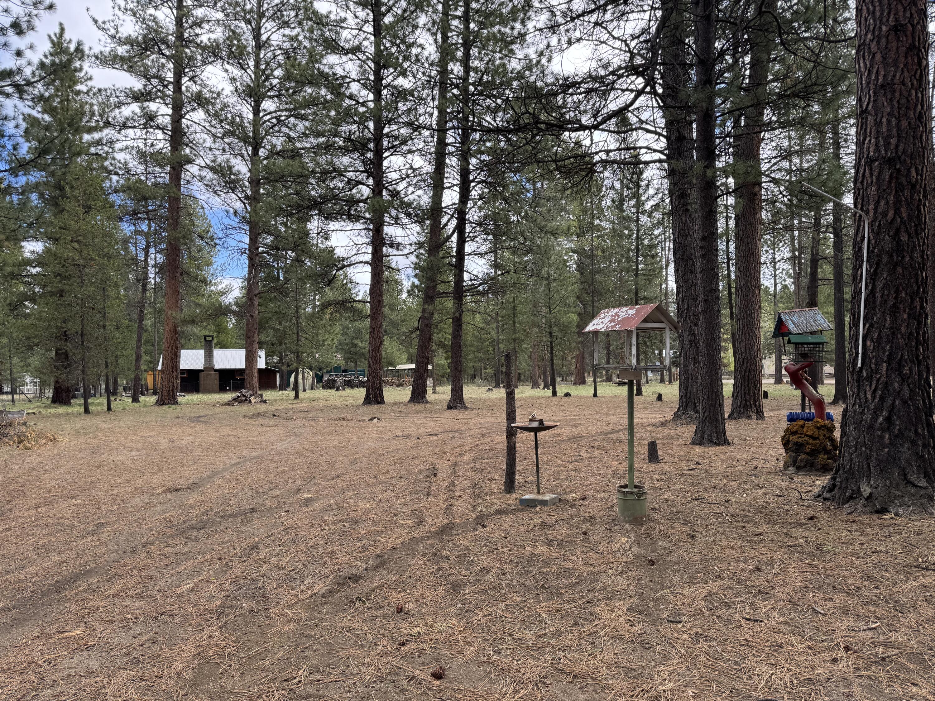 15834 Jackpine Road La Pine, OR 97739 - Photo 47 of 49 46