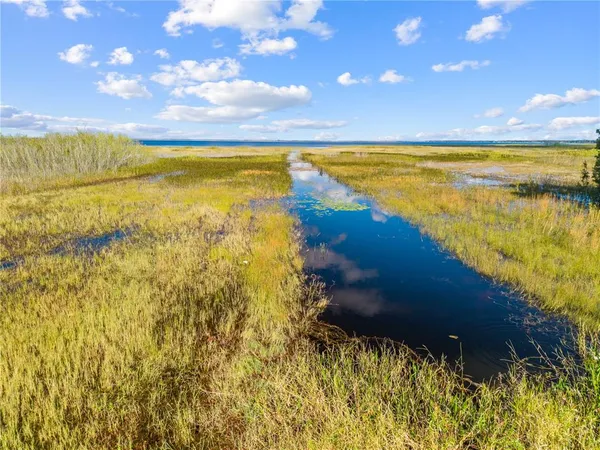 a view of an ocean from a yard