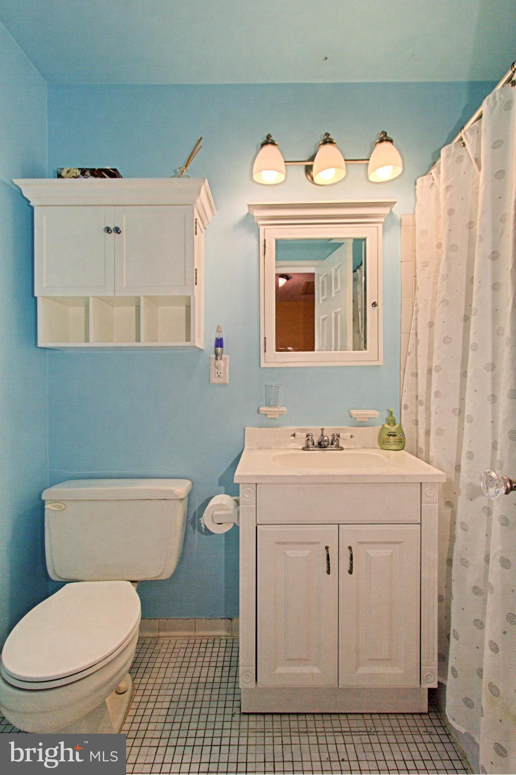 8007 Sleepy View Lane Springfield, VA 22153 - Photo 21 of 30 Bath