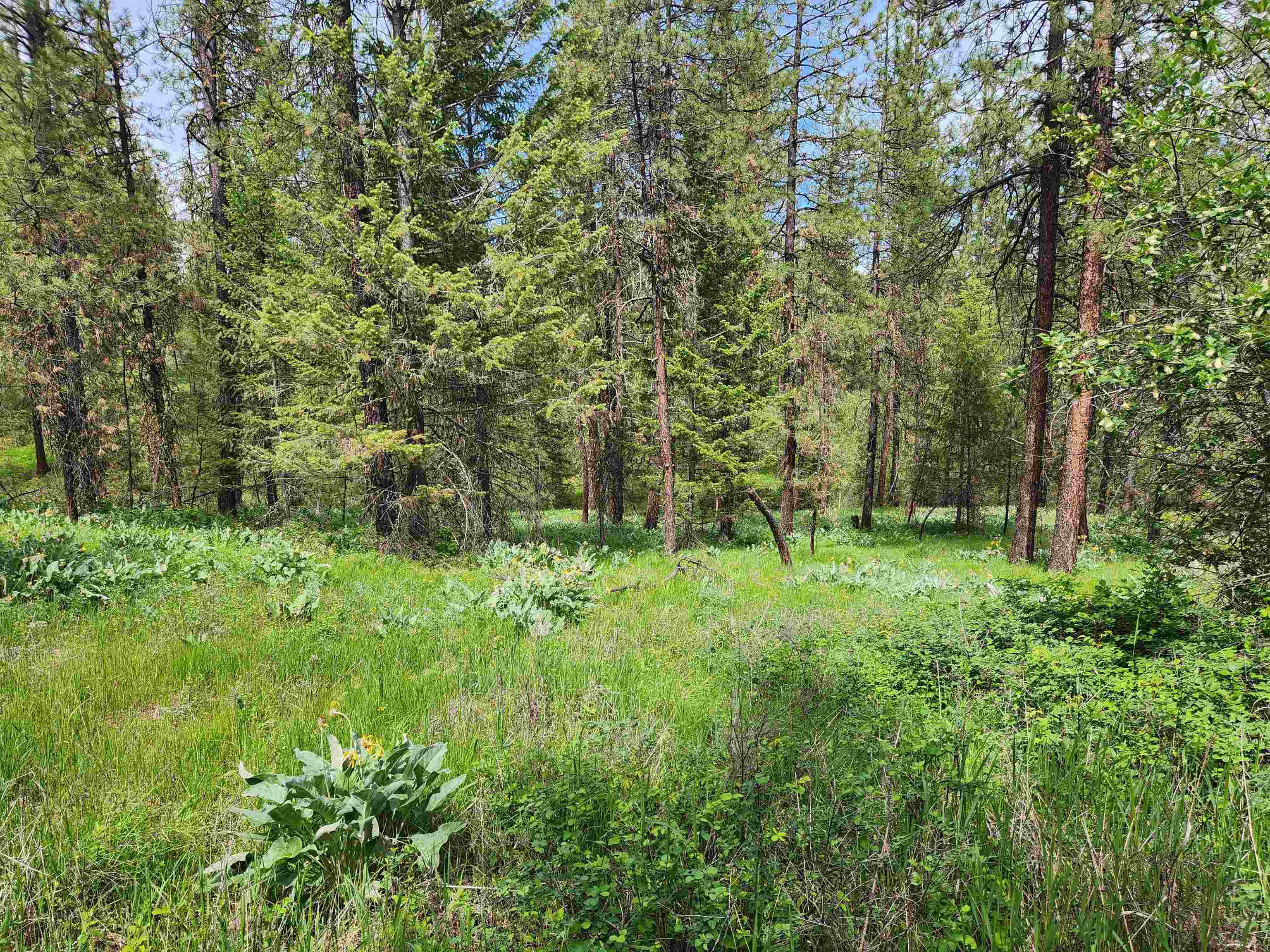 6269 Miller Mountain Road Fruitland, WA 99129 - Photo 2 of 10