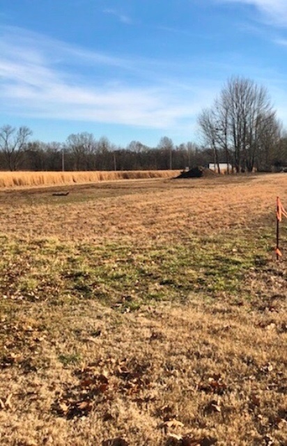 L5 Gragg Road Millington, TN 38053 - Photo 1 of 2 Gallery Image 1