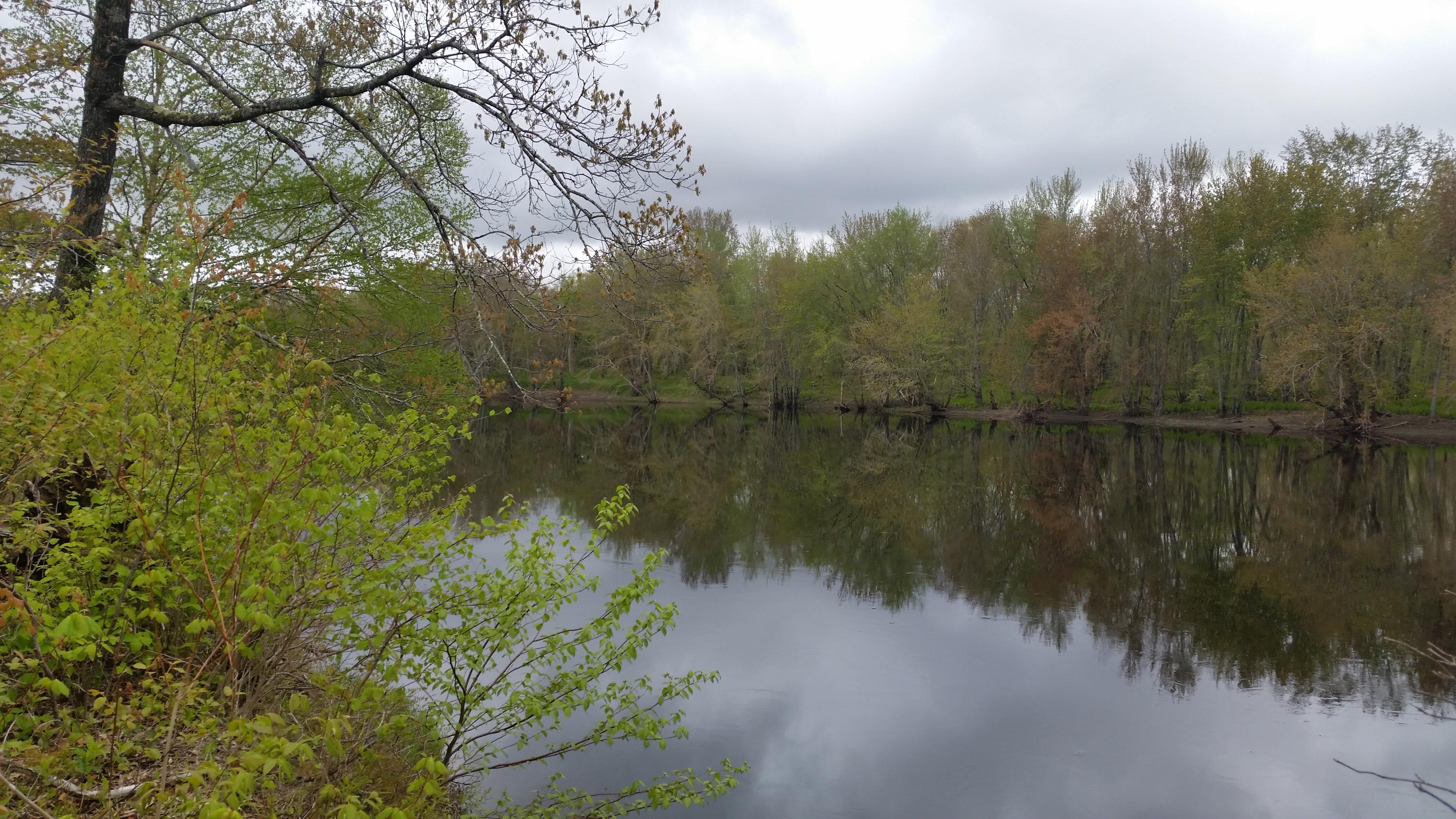 Lot 4 Emery Farm Road Medford, ME 04463 - Photo 8 of 16 Polek (8)
