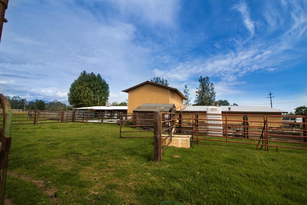 15487 Cloverdale Road Anderson, CA 96007 - Photo 12 of 16 Pasture