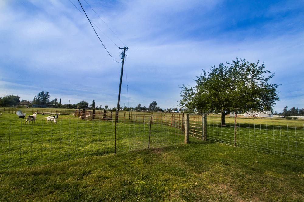 15487 Cloverdale Road Anderson, CA 96007 - Photo 13 of 16 Fenced area