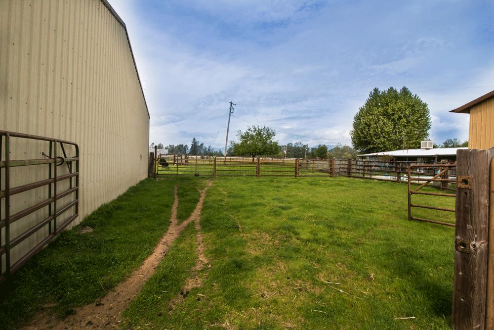 15487 Cloverdale Road Anderson, CA 96007 - Photo 8 of 16 Side pasture