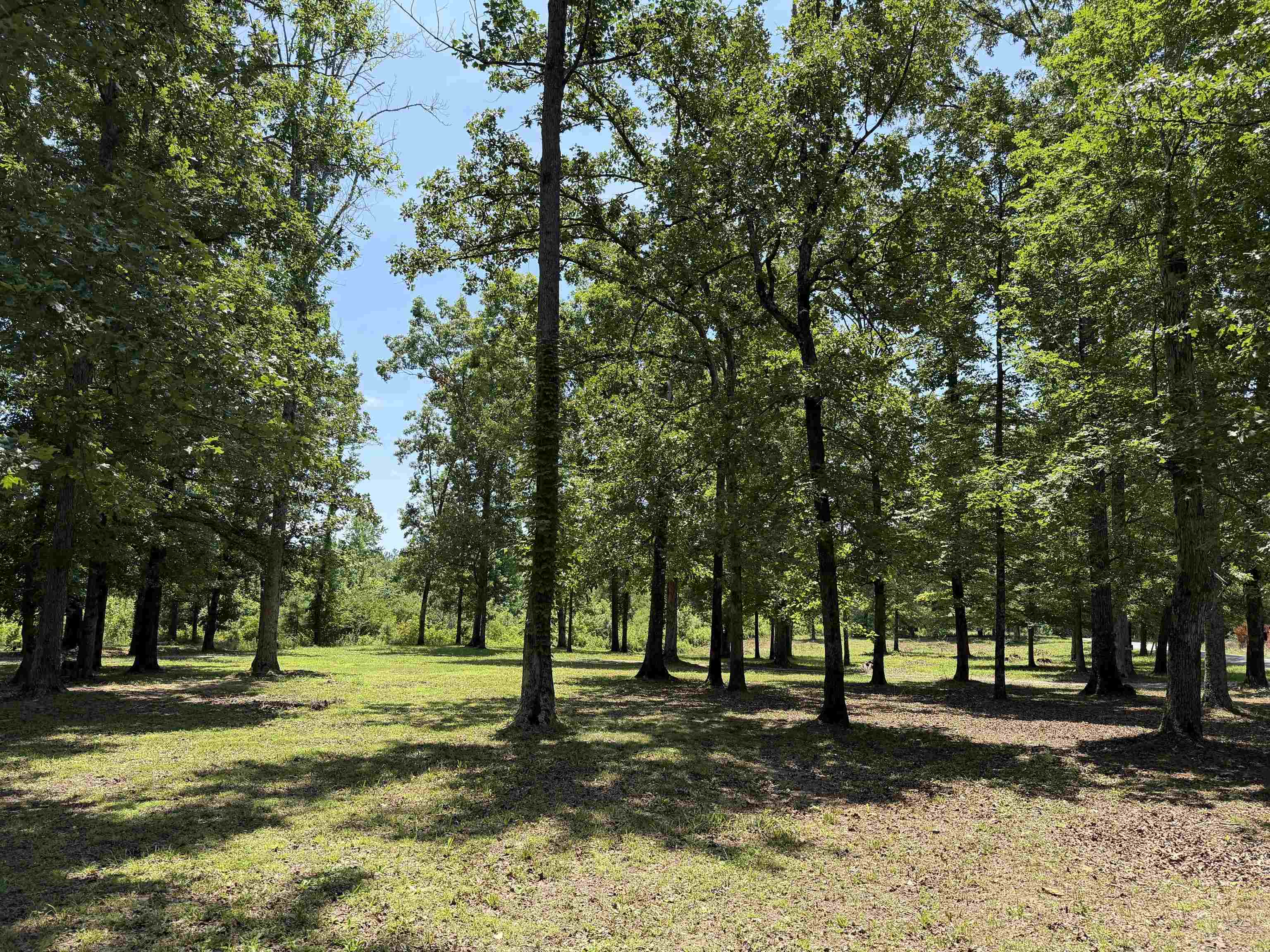730 Old Union Road Adamsville, TN 38310 - Photo 32 of 40