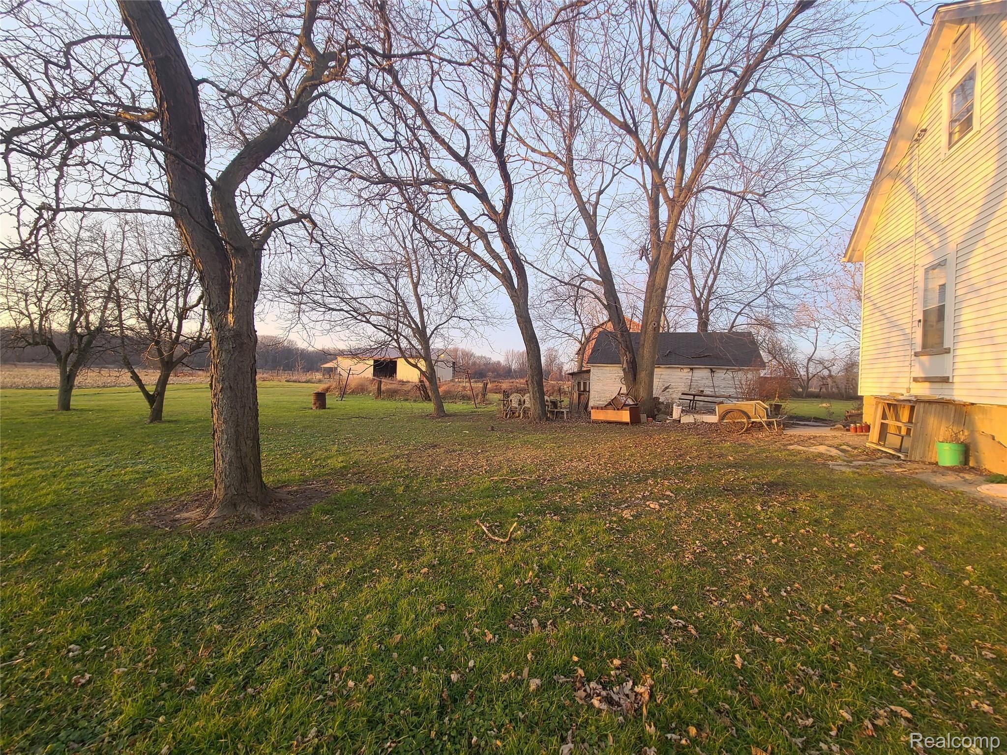 Back Yard (2).jpg