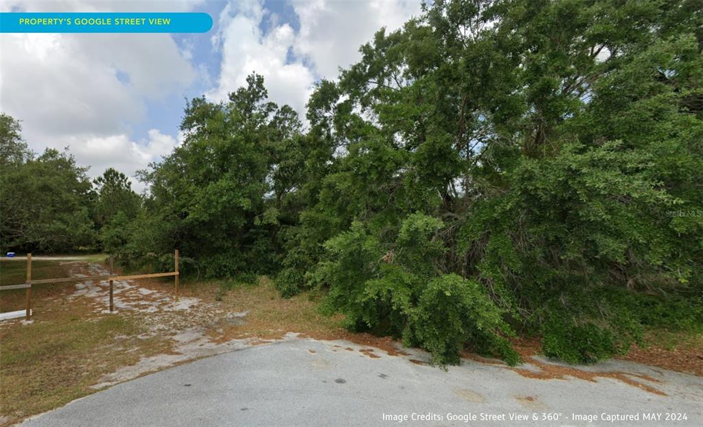 7226 Sky Court Spring Hill, FL 34606 - Photo 6 of 17 a view of a field with trees in the background
