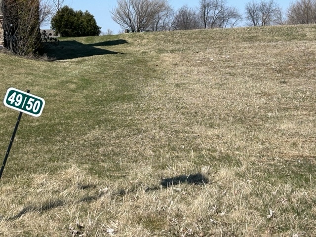 570 Thunder Valley Trail Capron, IL 61012 - Photo 4 of 4 a view of a tree with a yard