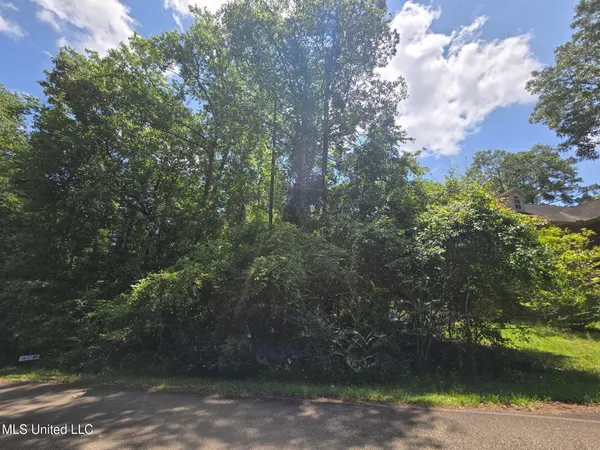 $10,500 | 1403 East Lakeshore Drive, Carriere, MS 39426