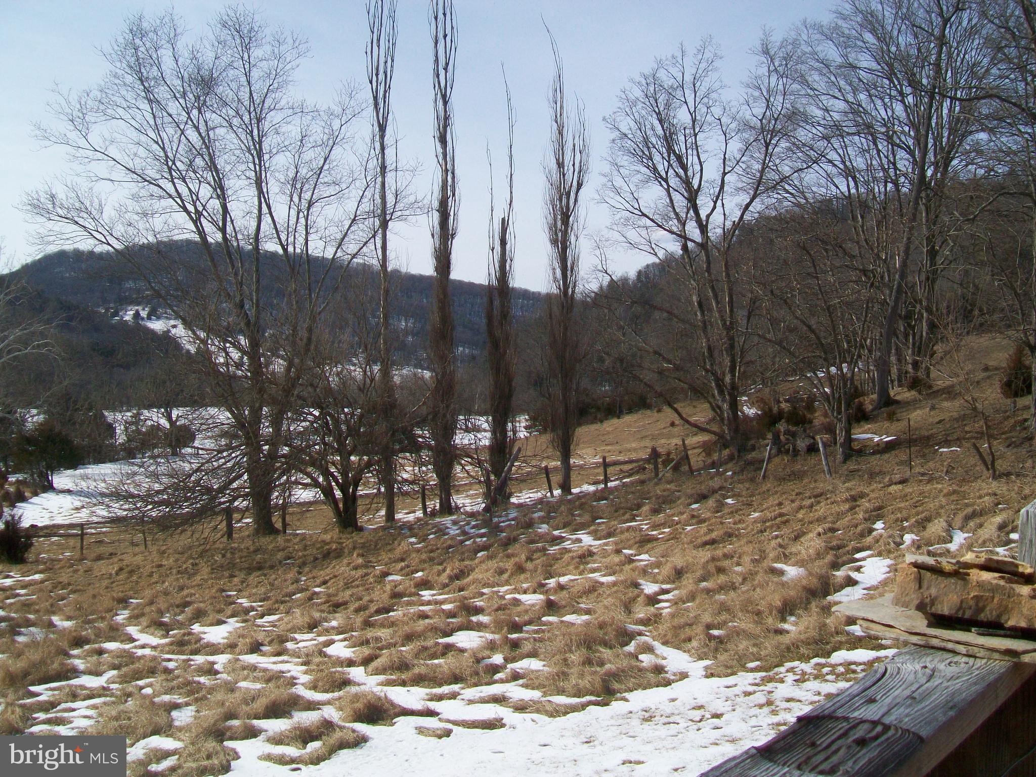 5621 Kiser Gap Road Upper Tract, WV 26866 - Photo 46 of 54 a view of a yard with trees