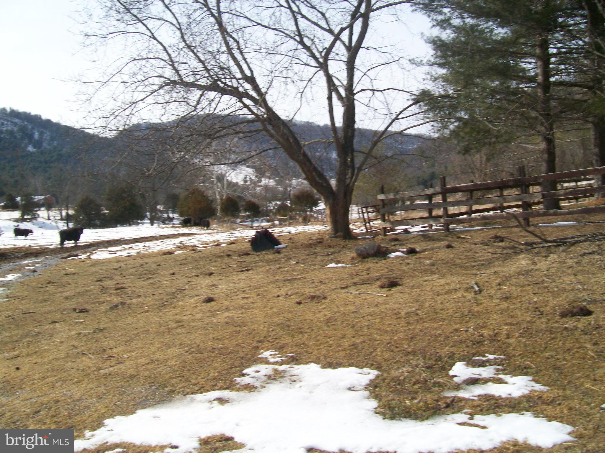 5621 Kiser Gap Road Upper Tract, WV 26866 - Photo 49 of 54 a view of road with trees