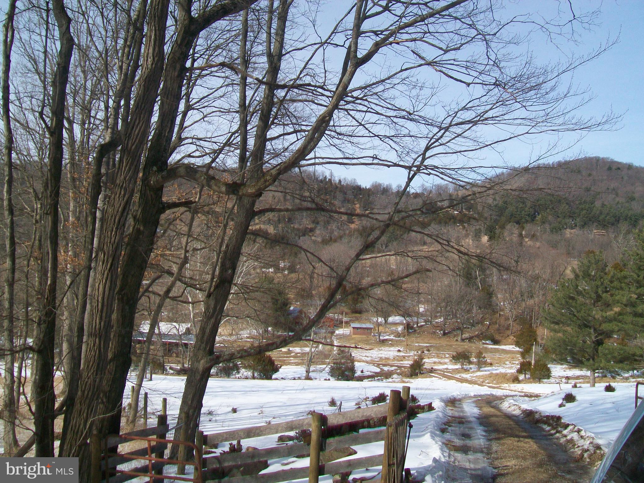 5621 Kiser Gap Road Upper Tract, WV 26866 - Photo 50 of 54 a view of outdoor space with lots of trees