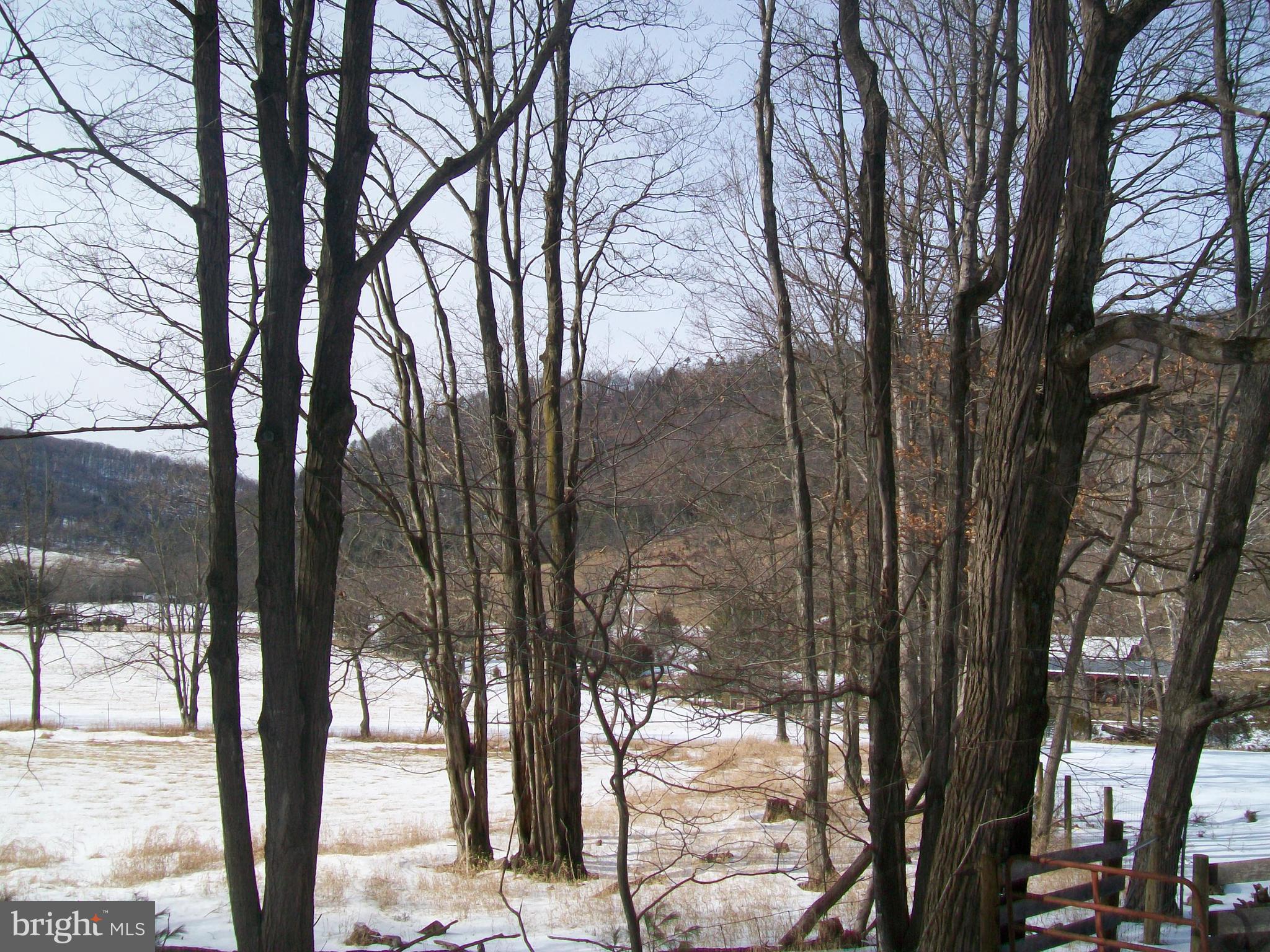 5621 Kiser Gap Road Upper Tract, WV 26866 - Photo 51 of 54 a view of a forest view