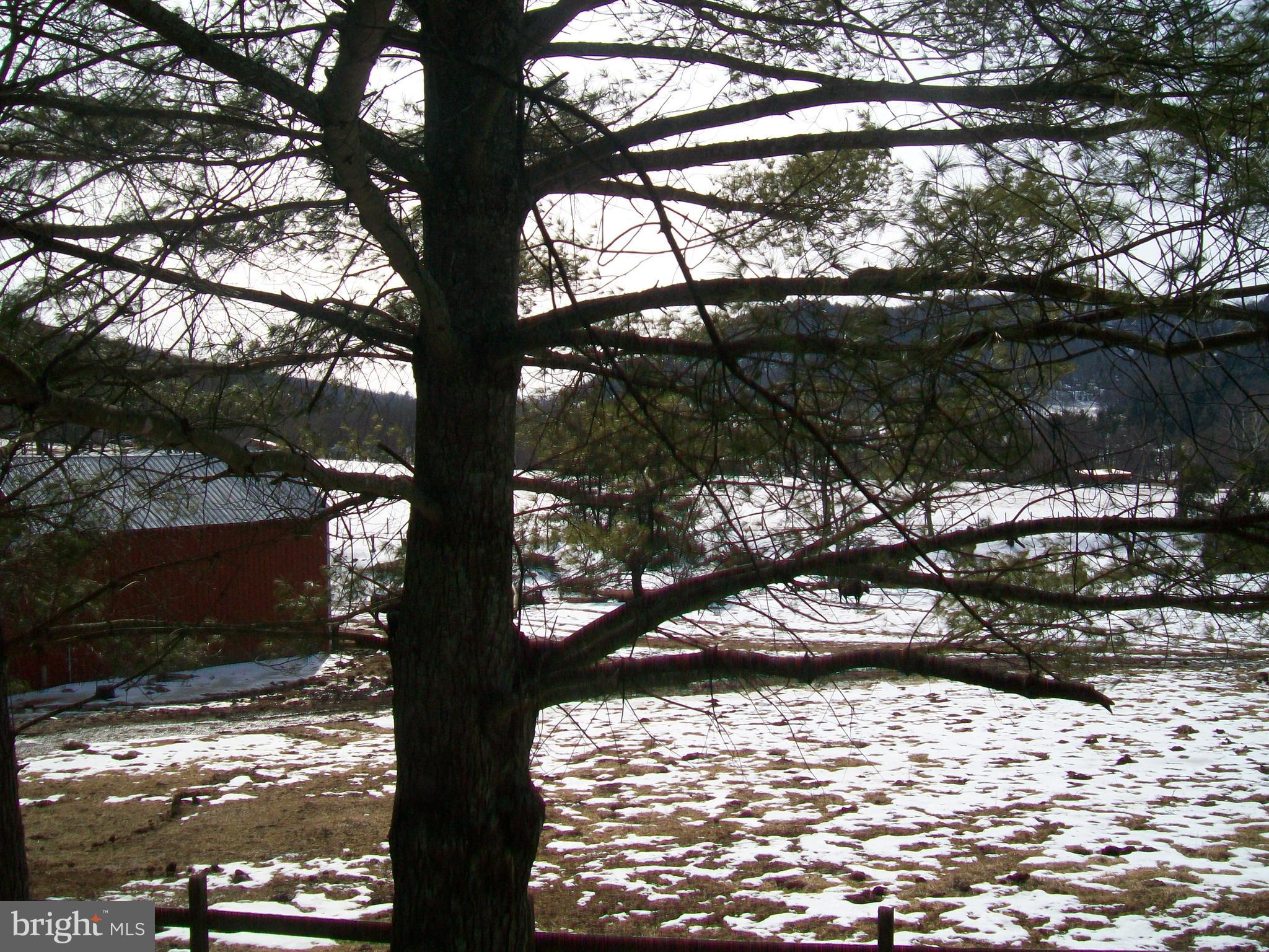 5621 Kiser Gap Road Upper Tract, WV 26866 - Photo 53 of 54 a view of a yard with street