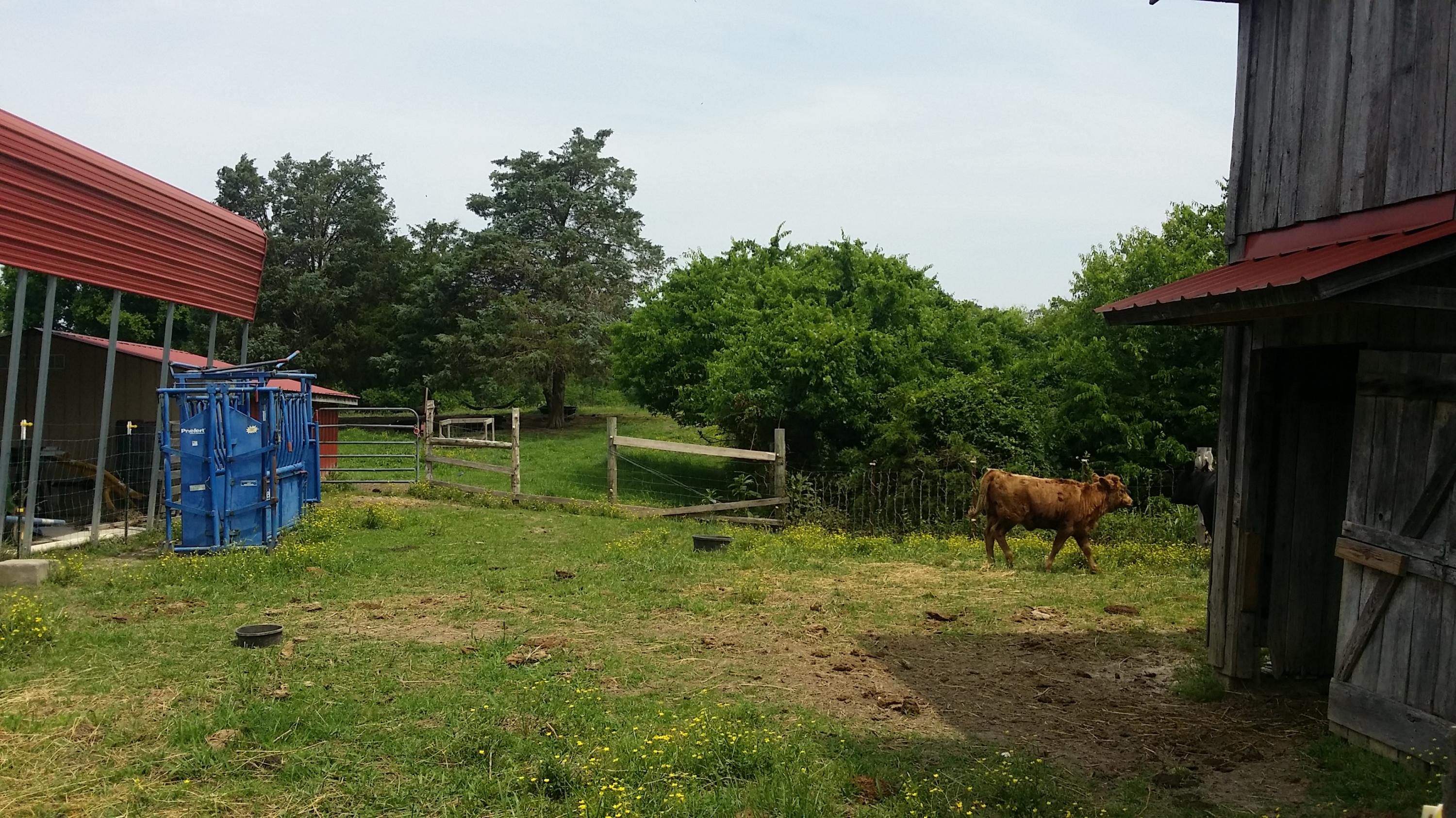 5105 Watson Road Loudon, TN 37774 - Photo 2 of 5 5105-1