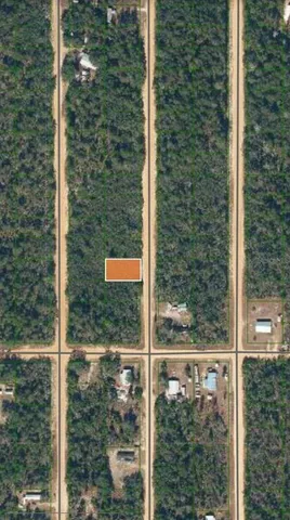 a view of a glass door with a tree in it