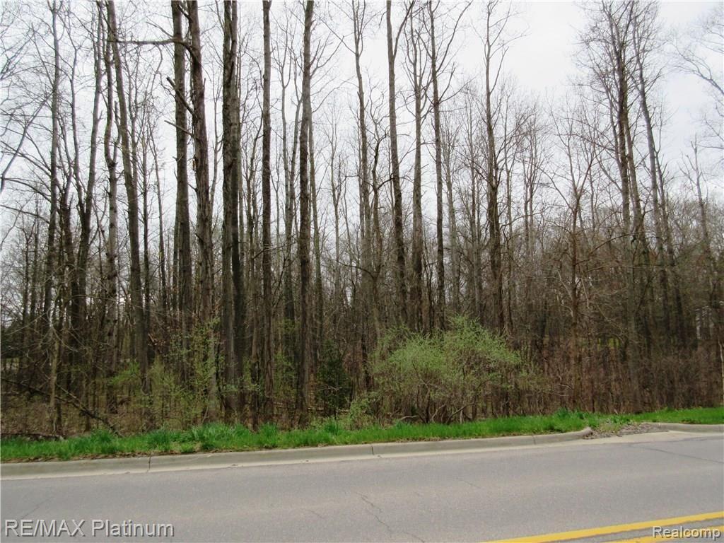 2 Maltby Road Brighton, MI 48116 - Photo 7 of 7