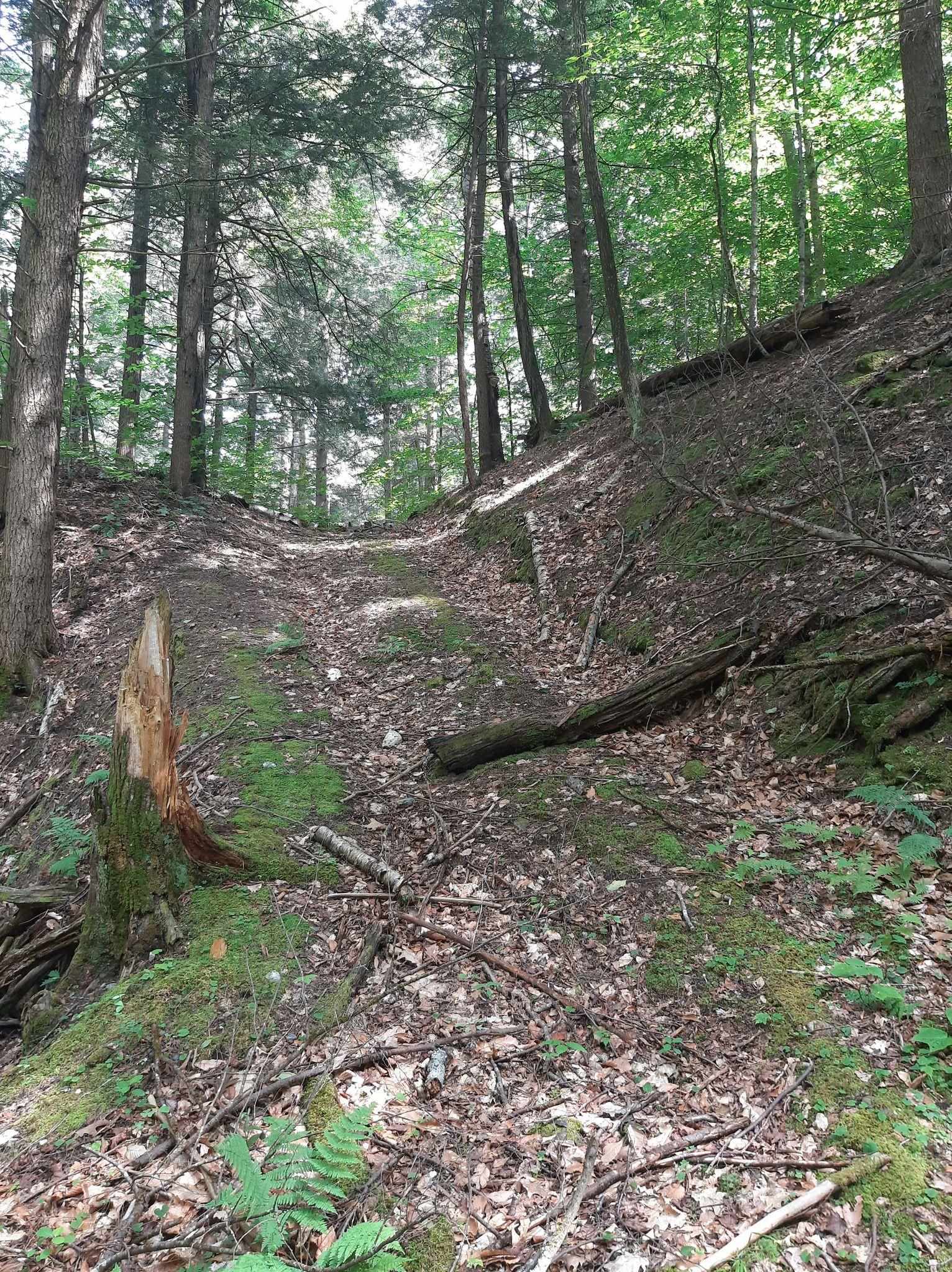 Hill Road Putney, VT 05346 - Photo 4 of 9