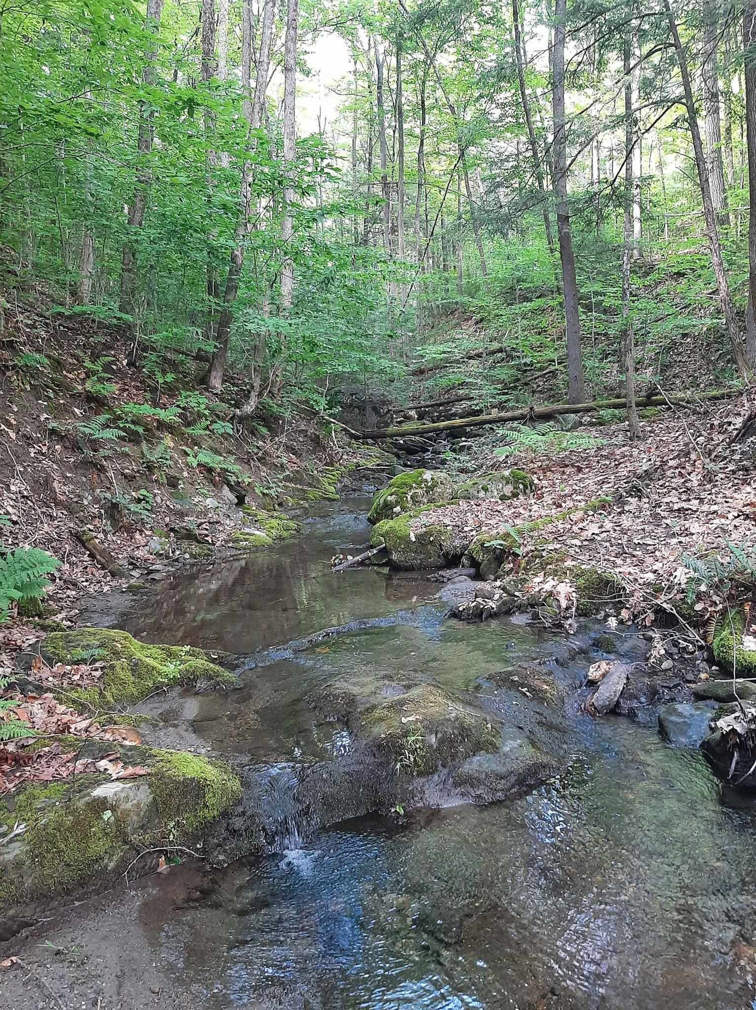 Hill Road Putney, VT 05346 - Photo 5 of 9