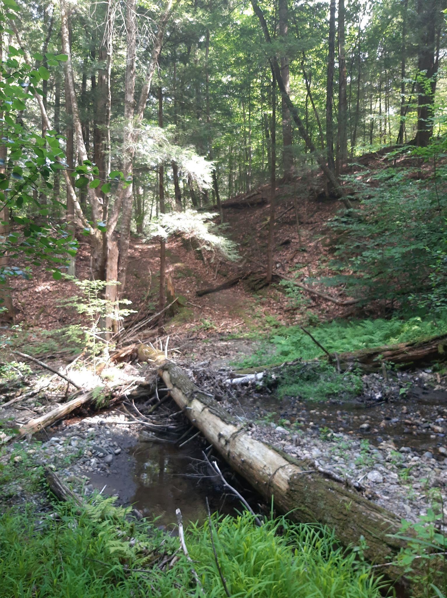 Hill Road Putney, VT 05346 - Photo 9 of 9