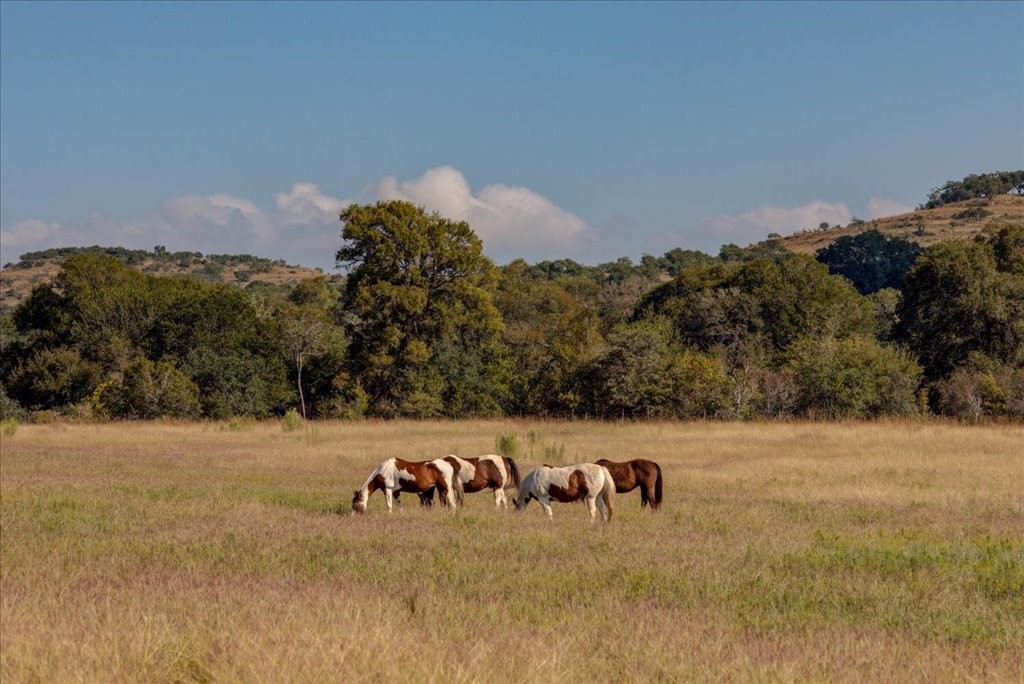 405 Schuetz Creek Road Blanco, TX 78606 - Photo 1 of 1 Introducing 405 Schuetz Creek Rd, a Majestic Ranch in the highly sought-after Texas Hill Country!