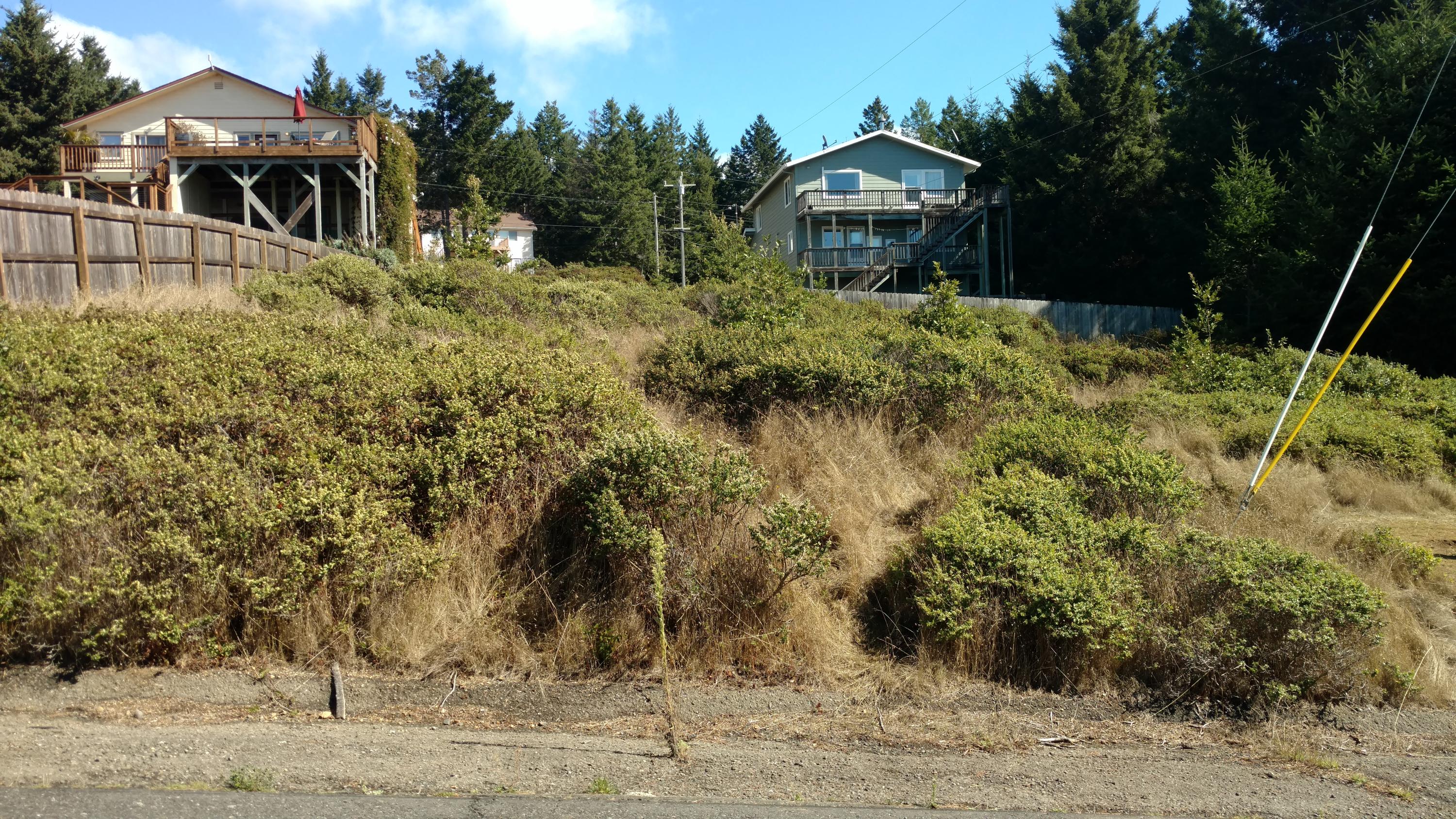 85 Shaker Road Shelter Cove, CA 95589 - Photo 3 of 5
