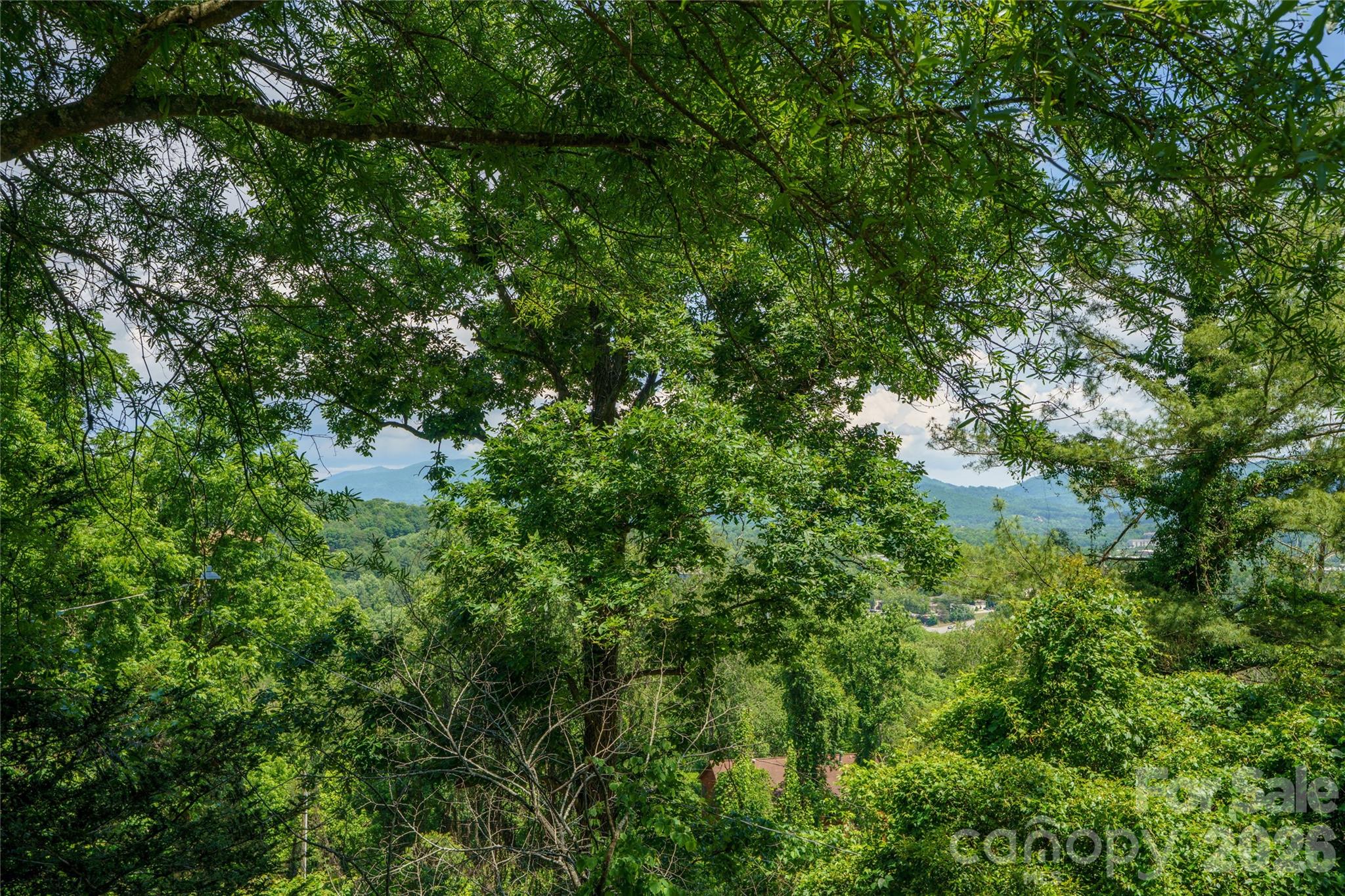 32 Delano Road Asheville, NC 28805 - Photo 44 of 47