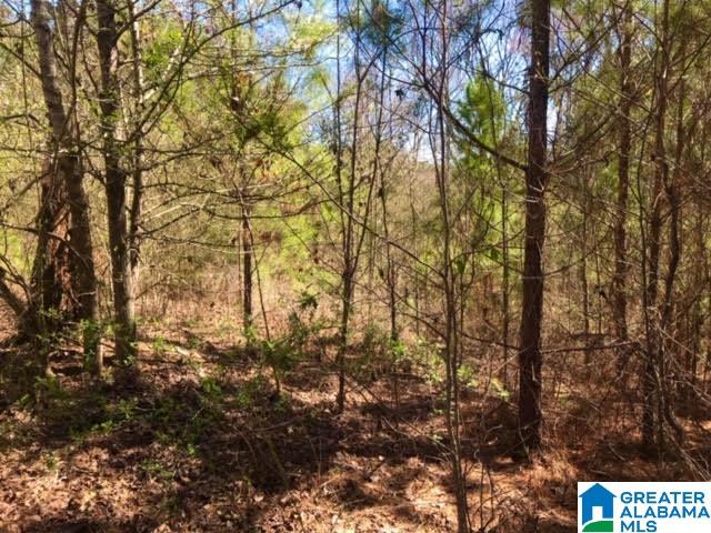 0 Teem Road, Unit 32A Cullman, AL 35057 - Photo 13 of 14