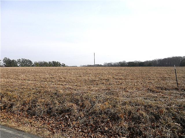 0 John Murrell Road Dickson, TN 37055 - Photo 2 of 5
