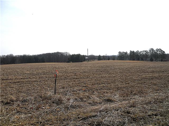 0 John Murrell Road Dickson, TN 37055 - Photo 3 of 5