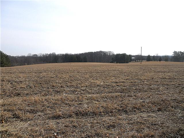 0 John Murrell Road Dickson, TN 37055 - Photo 4 of 5