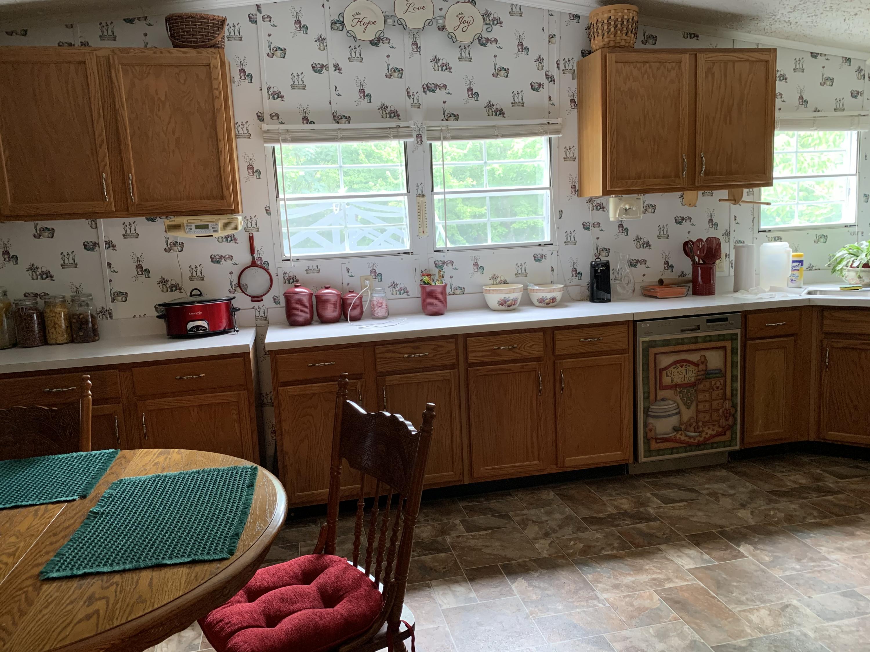 556 Shaddon Road Tellico Plains, TN 37385 - Photo 8 of 19 IMG_1203