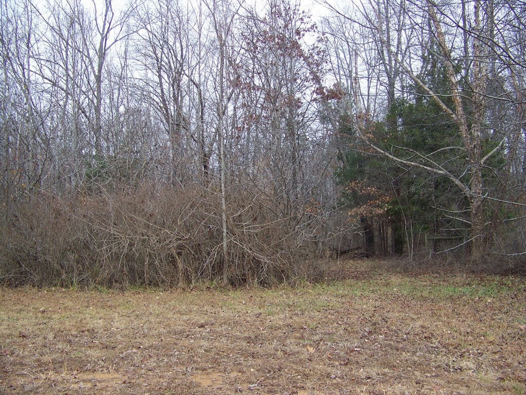 10362 Farmville Road Farmville, VA 23901 - Photo 25 of 32 Gallery Image 25