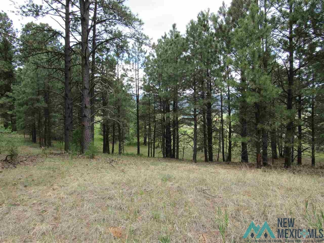 1 Chapel Road Rociada, NM 87742 - Photo 1 of 9 Gallery Image 1