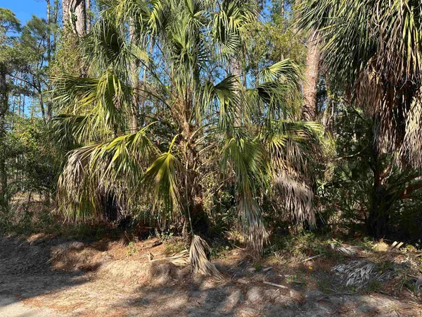$45,000 | Lot 12 River Drive, Panacea, FL 32346