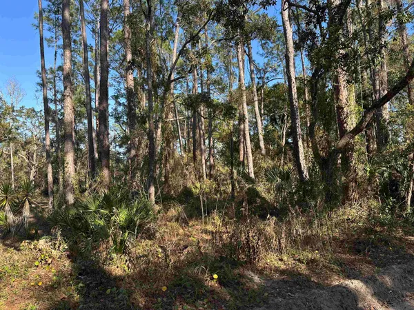 $45,000 | Lot 12 River Drive, Panacea, FL 32346