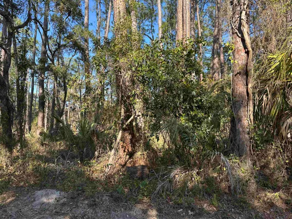 $45,000 | Lot 12 River Drive, Panacea, FL 32346