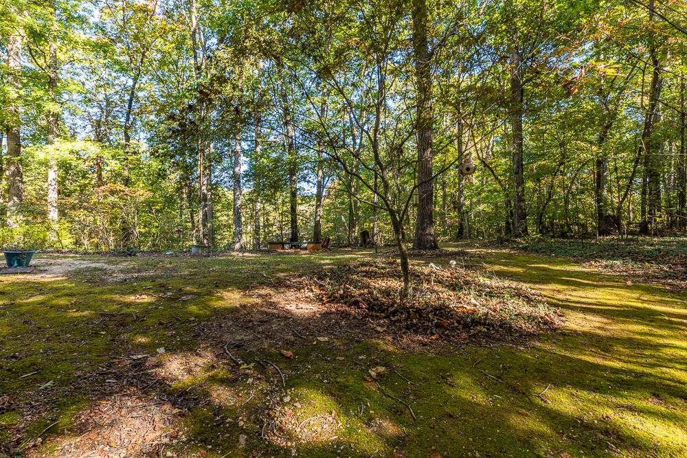 3752 Meers Road Northwest Dalton, GA 30721 - Photo 44 of 49 3752 Meers HD-9