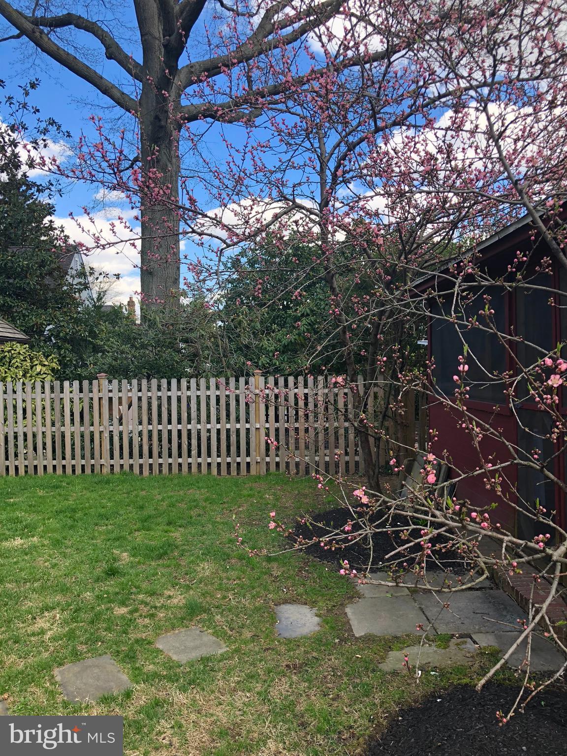 601 East Manoa Road Havertown, PA 19083 - Photo 37 of 39 Rear Yard