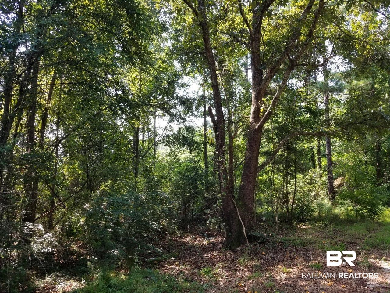 0 Jerkins Loop Atmore, AL 36502 - Photo 19 of 50