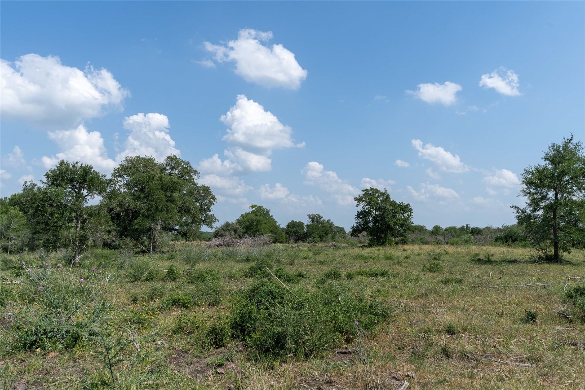 0 Gravel Pit Road Kingsbury, TX 78638 - Photo 16 of 30 a view of a bunch of trees in middle of green field