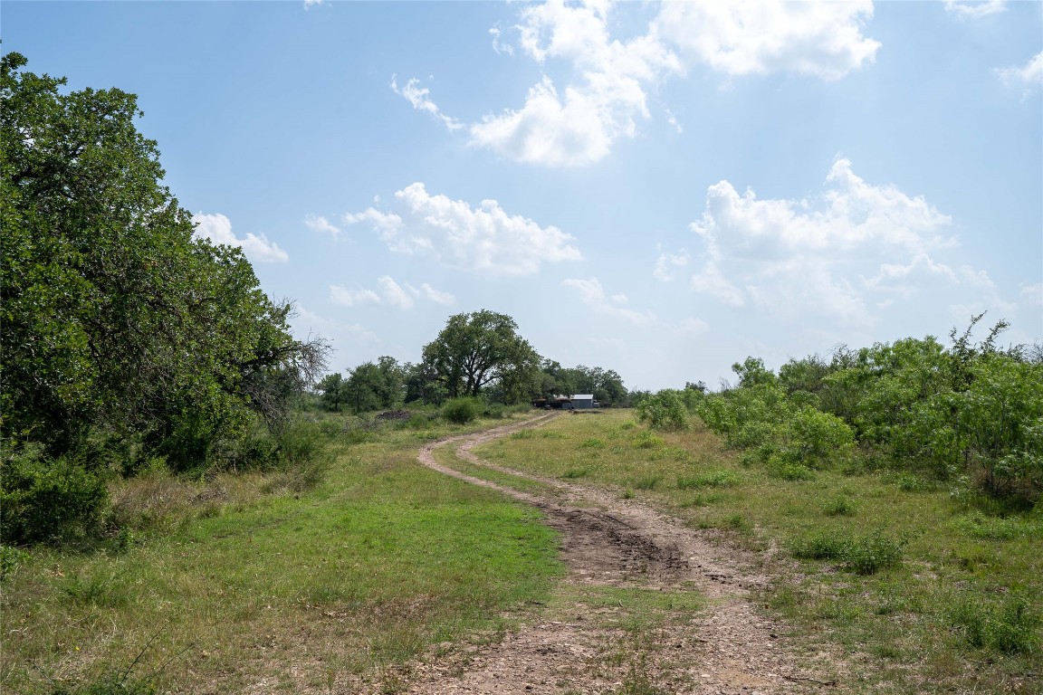 0 Gravel Pit Road Kingsbury, TX 78638 - Photo 22 of 30 a view of a big yard with lots of green space